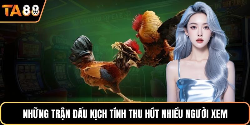 Những trận đấu kịch tính thu hút nhiều người xem